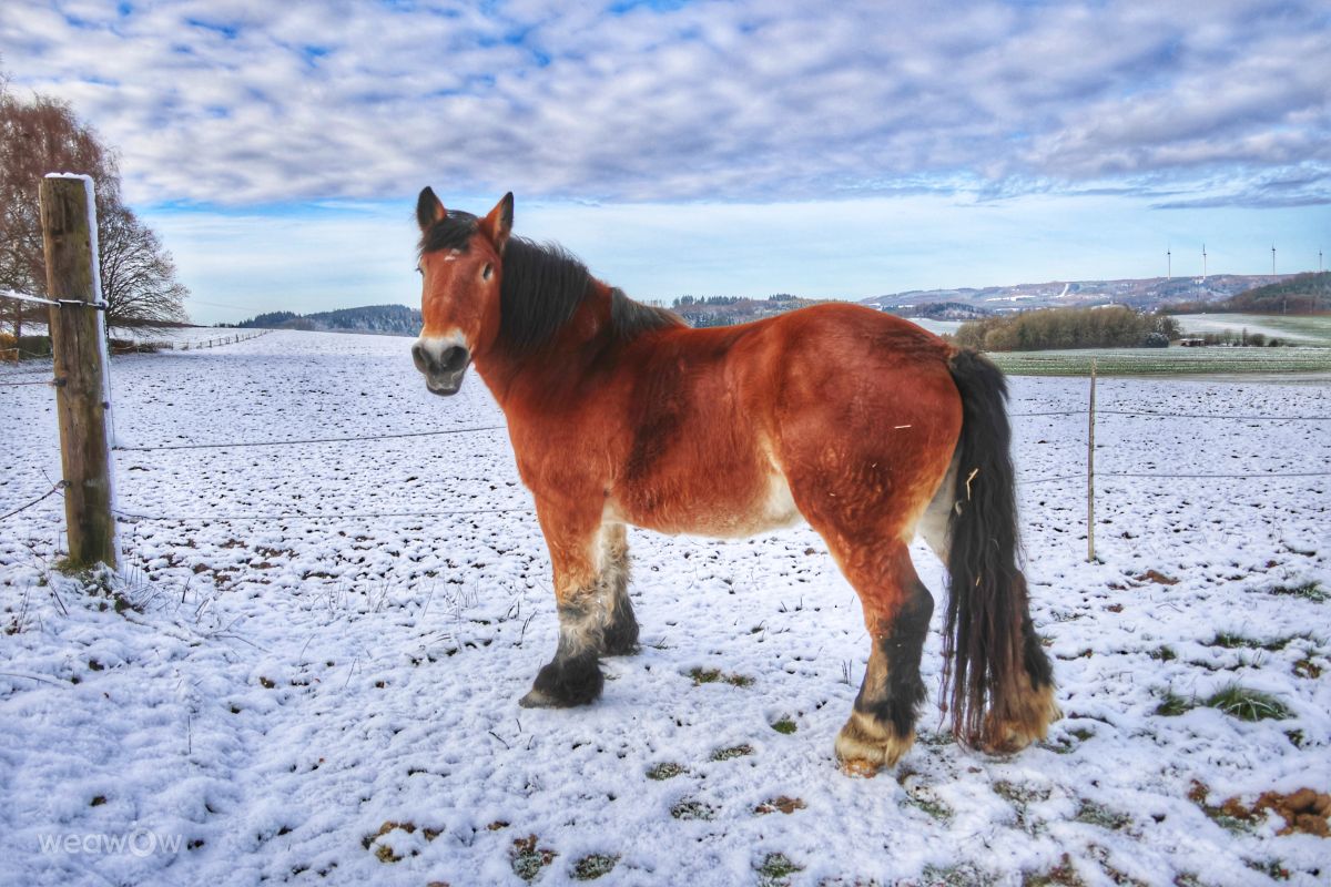 Weather Photos in Affeln. Weather forecasts with beautiful photos by Lotti5507