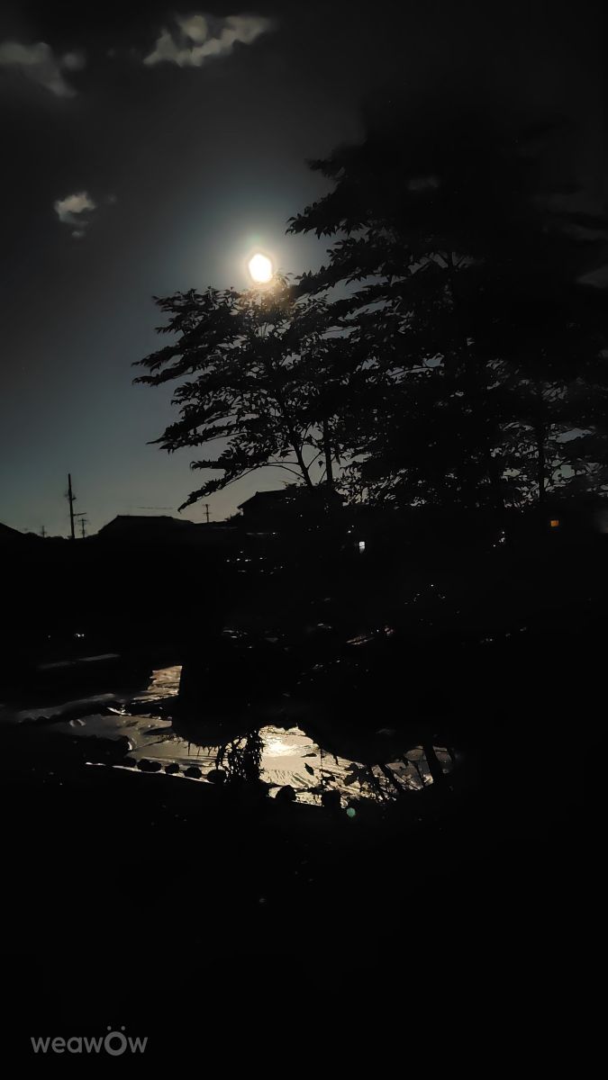 Fotógrafo umemui, Fotos sobre el clima en Honshū - Weawow