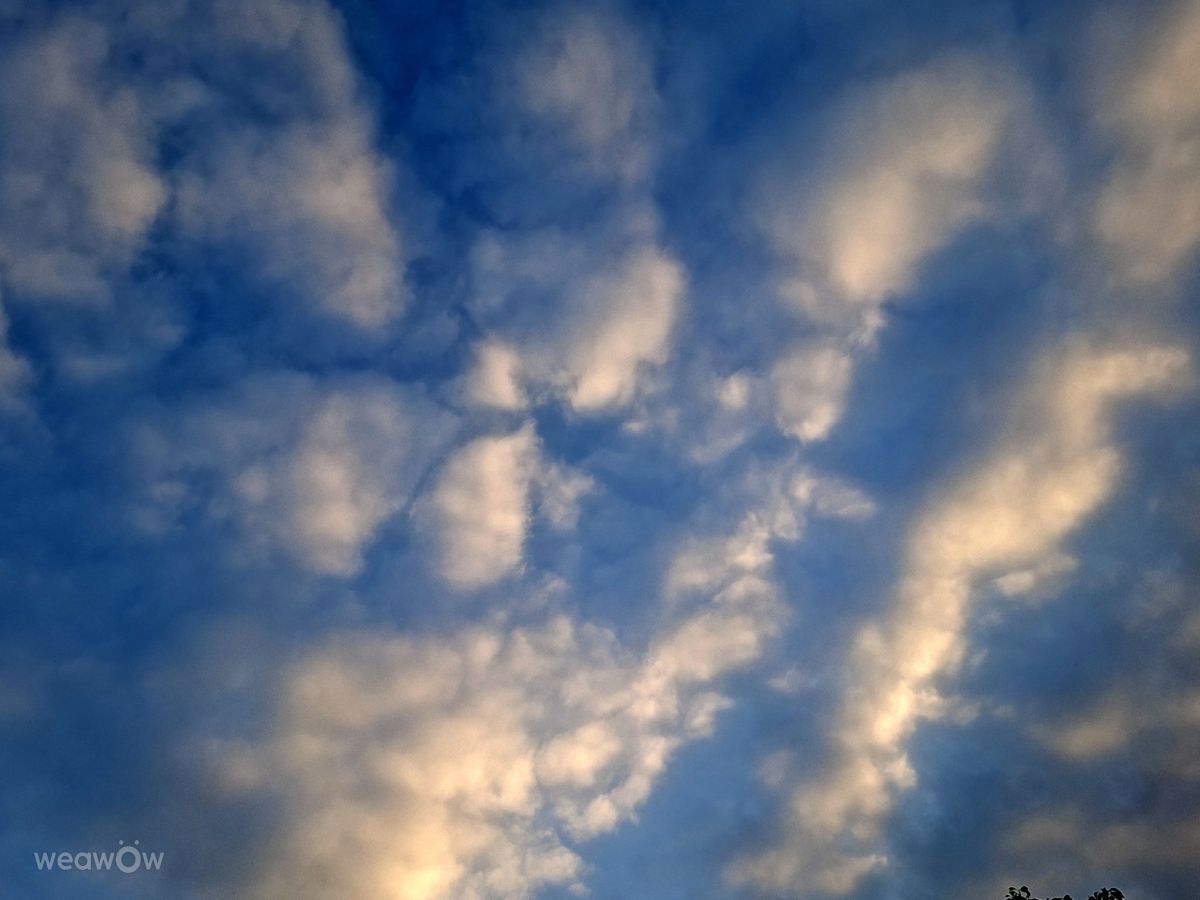 Фотограф Wen-ya Huang, Фотографии Погоды в Kaohsiung City - Weawow