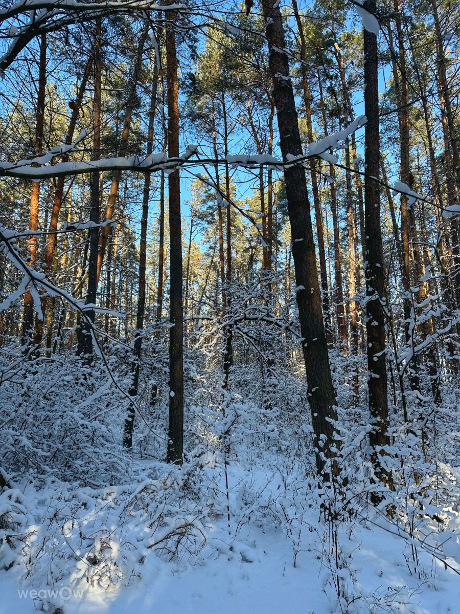 Fotos do tempo em Irpin. Previsões do tempo com lindas fotos de Інна