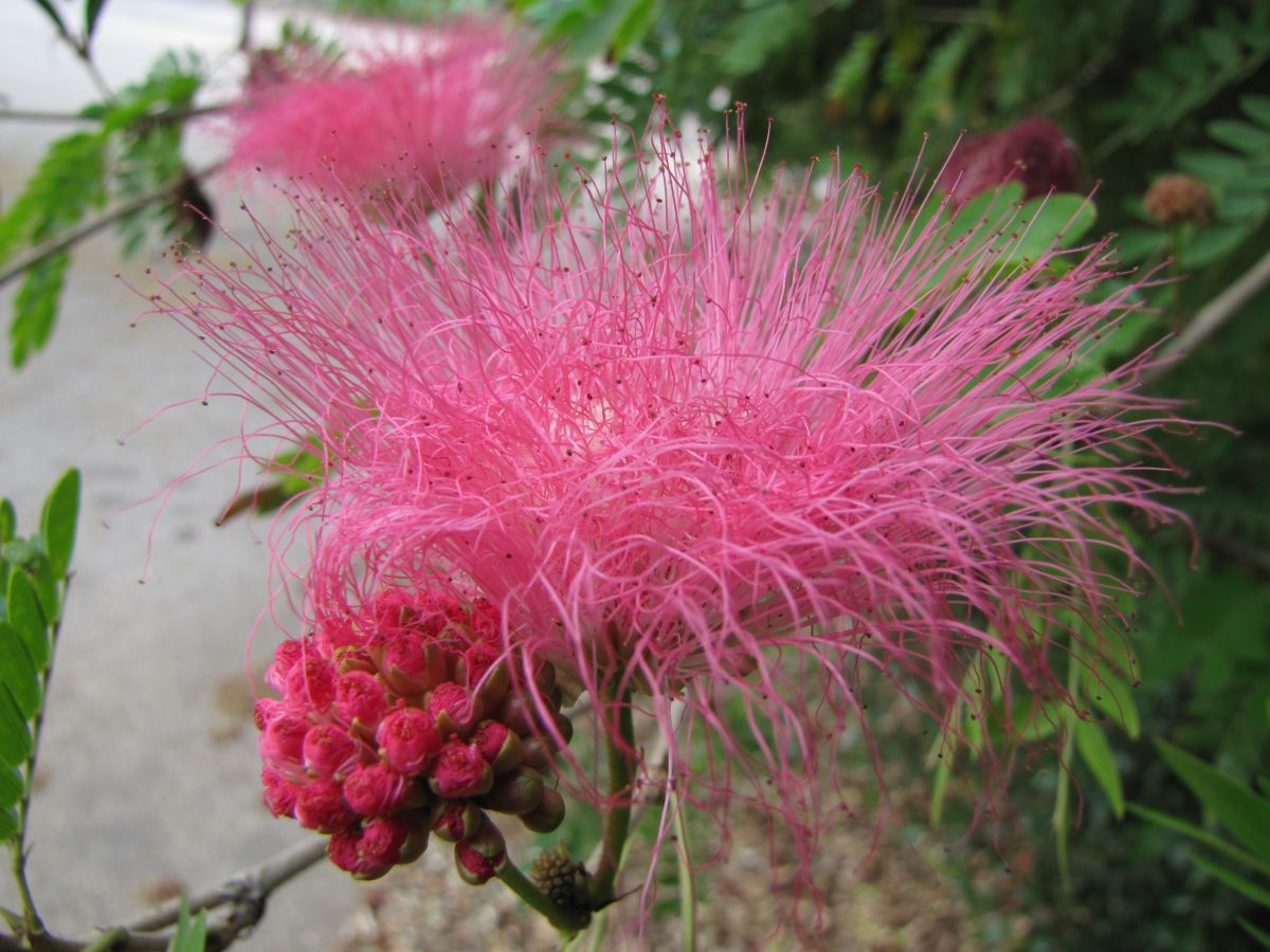 Prévisions météo avec de superbes photos de Sviatoslav