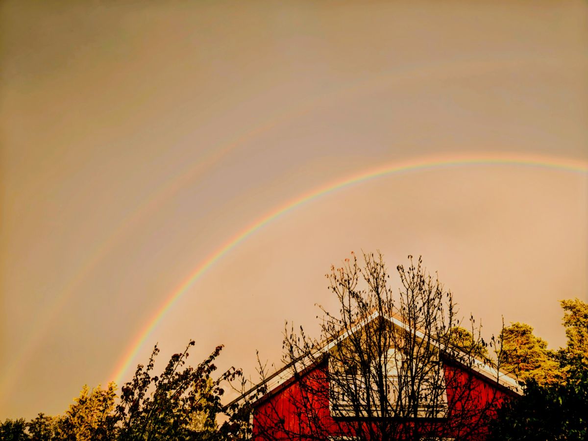 Fotos sobre el clima en Northern Savo. Pronósticos del tiempo con hermosas fotos de Seidi Johansson