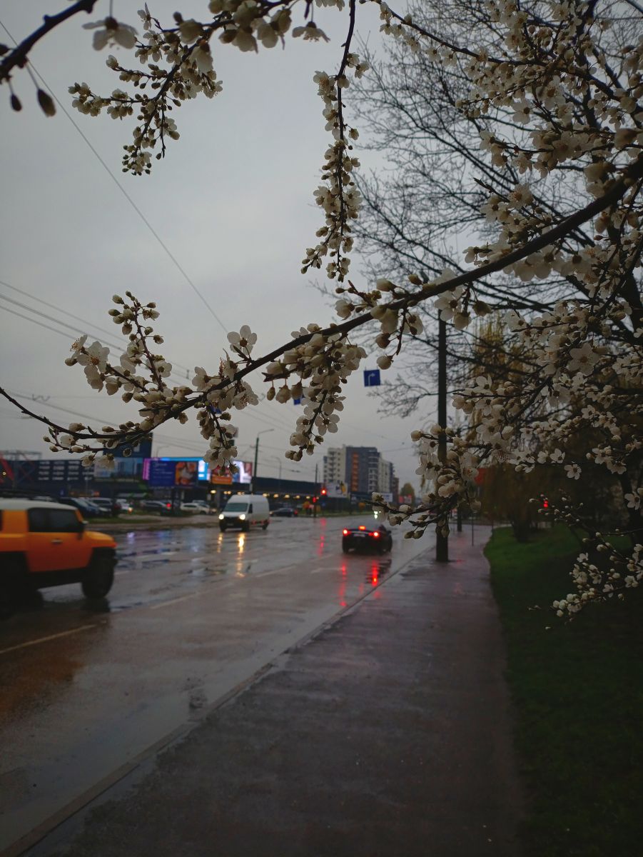 Weather Photos in Ivano-Frankivsk. Weather forecasts with beautiful photos by Scoperase
