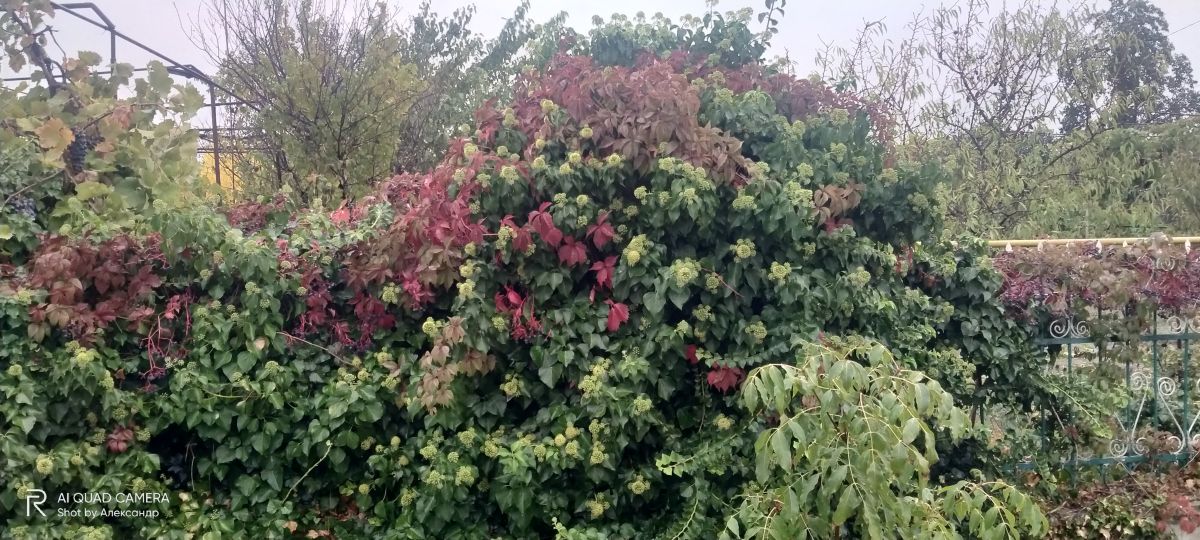 Фотографии Погоды в Одесская область. Прогнозы погоды с чудесными фотографиями, сделанными Alexandr60