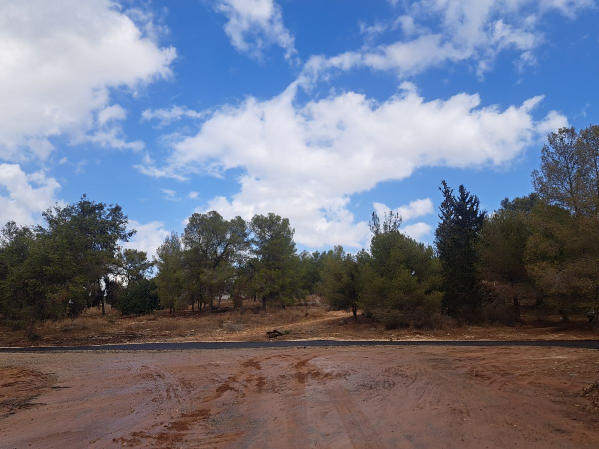 Photos météo à Israël. Prévisions météo avec de superbes photos de Sviatoslav