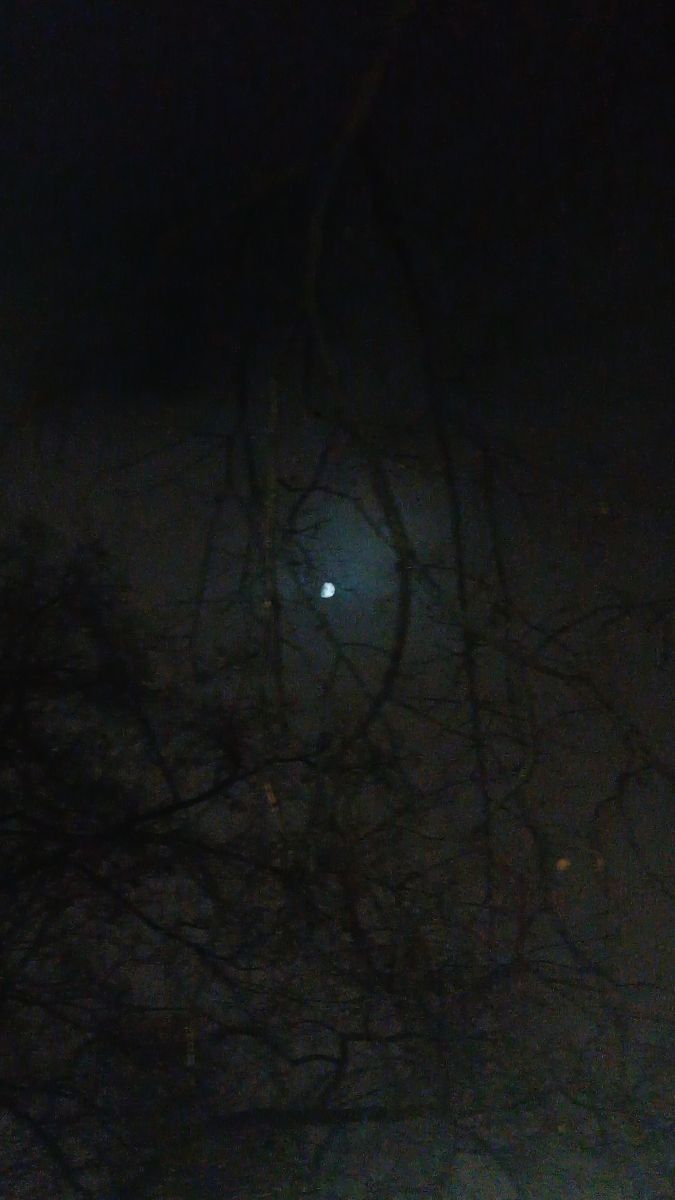 Fotógrafo YanBog, Fotos sobre el clima en București - Weawow