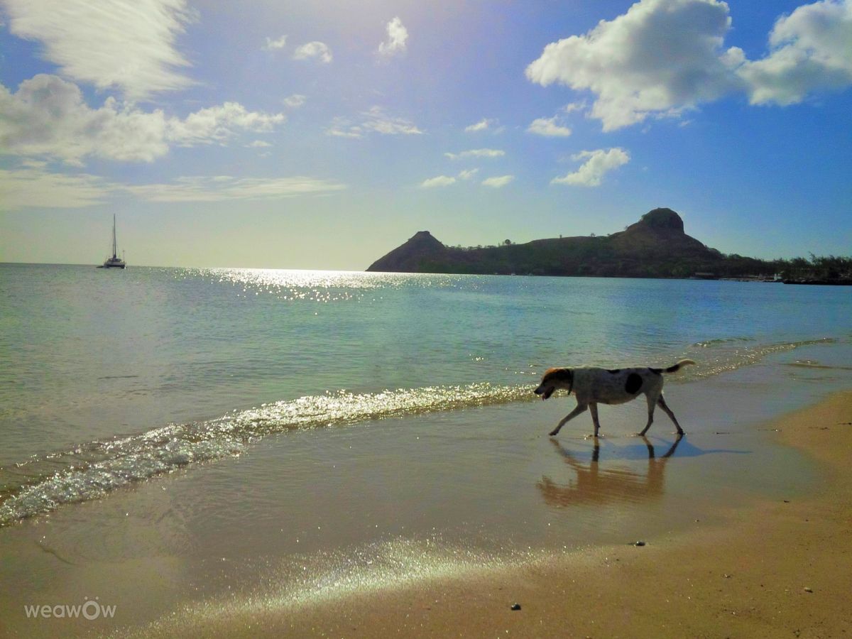 Weather forecasts with beautiful photos by LadyLesa