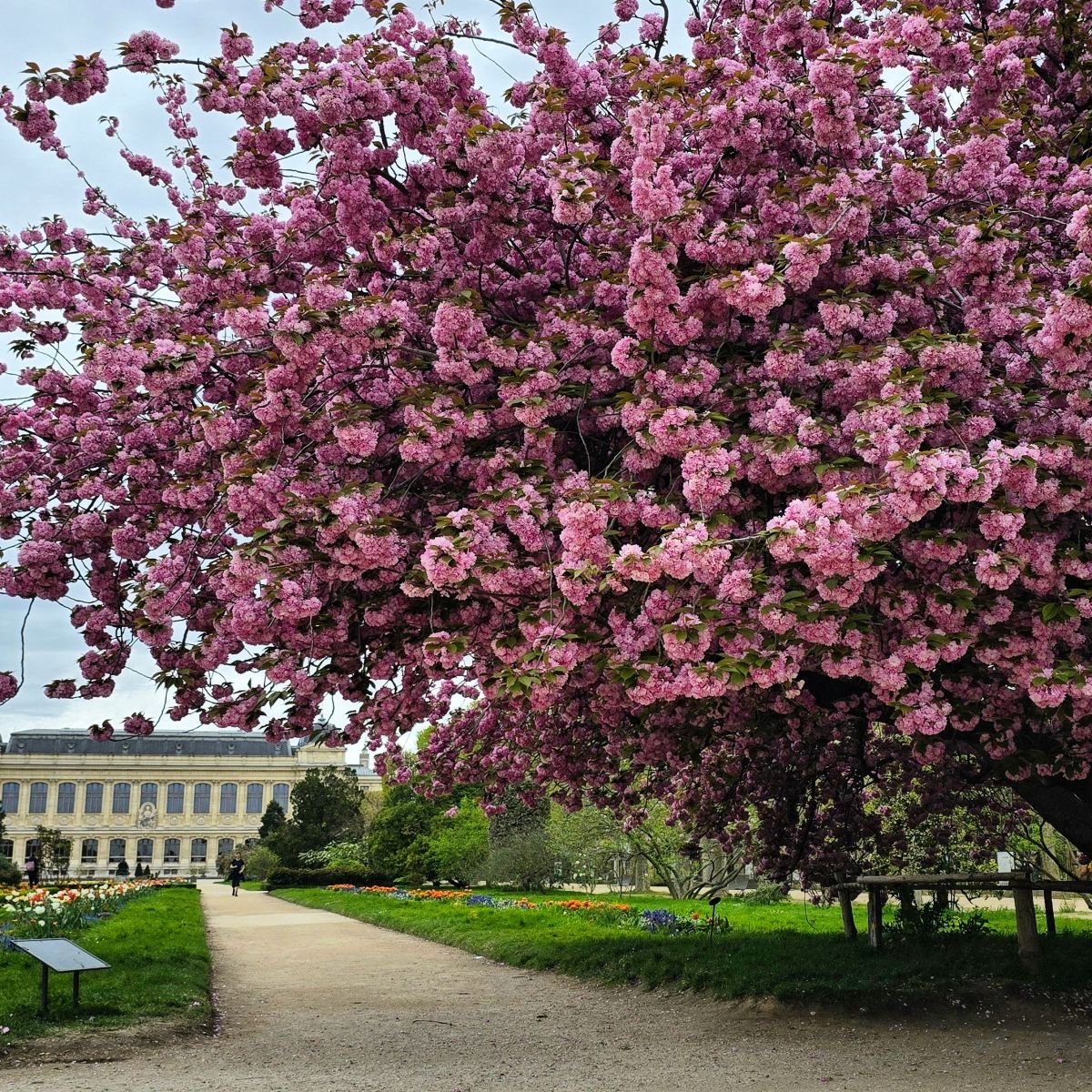13 Boulevard de l'Hôpital的天气照片. 天气预报，带Woosung精美的照片