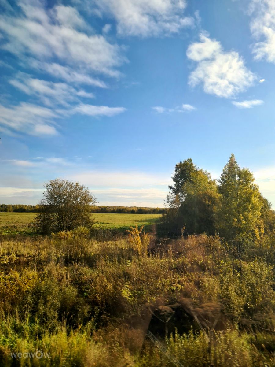 Photos météo à Pskov Oblast. Prévisions météo avec de superbes photos de HelenR
