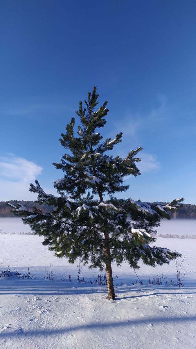 Fotos do tempo em Hrodna. Previsões do tempo com lindas fotos de maxonishe