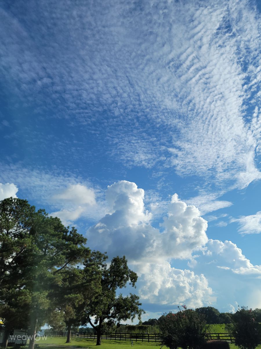 Photos météo à Unadilla. Prévisions météo avec de superbes photos de davidallport