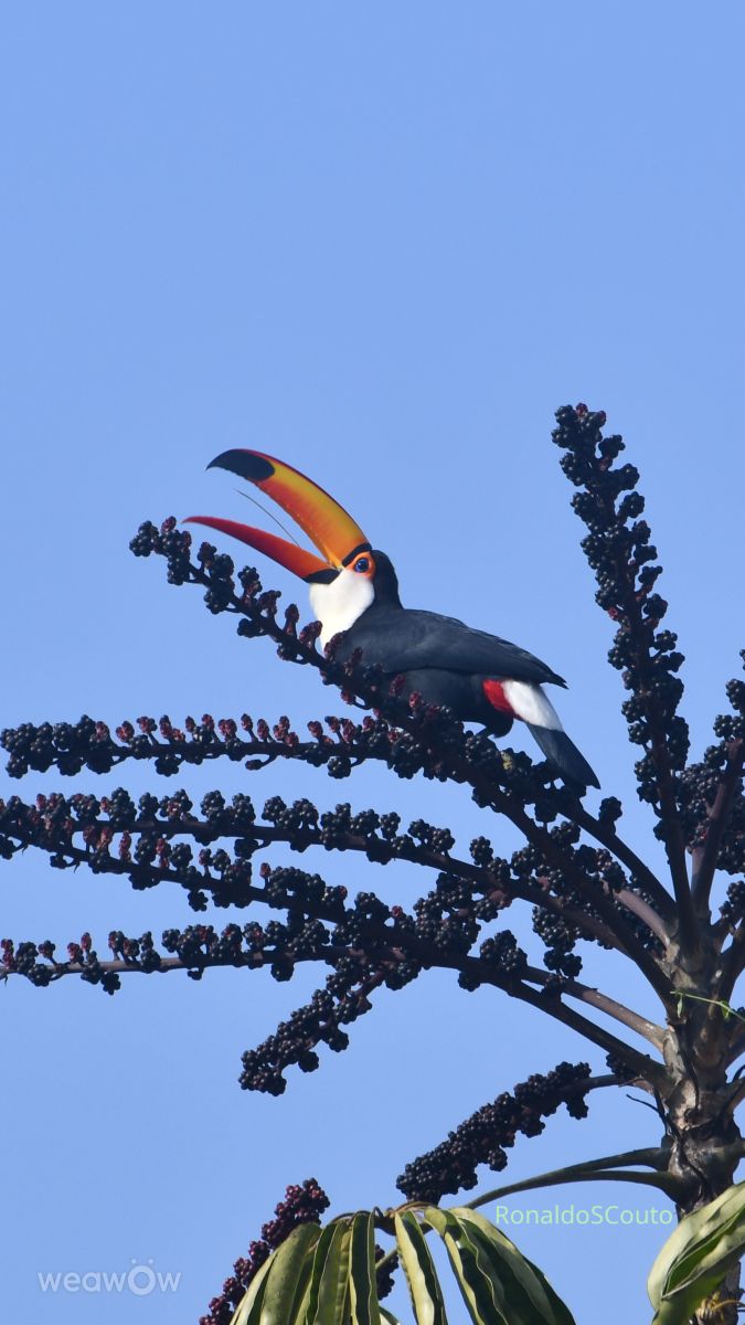 Dự báo thời tiết với những bức ảnh đẹp của RONALDOCOUTO