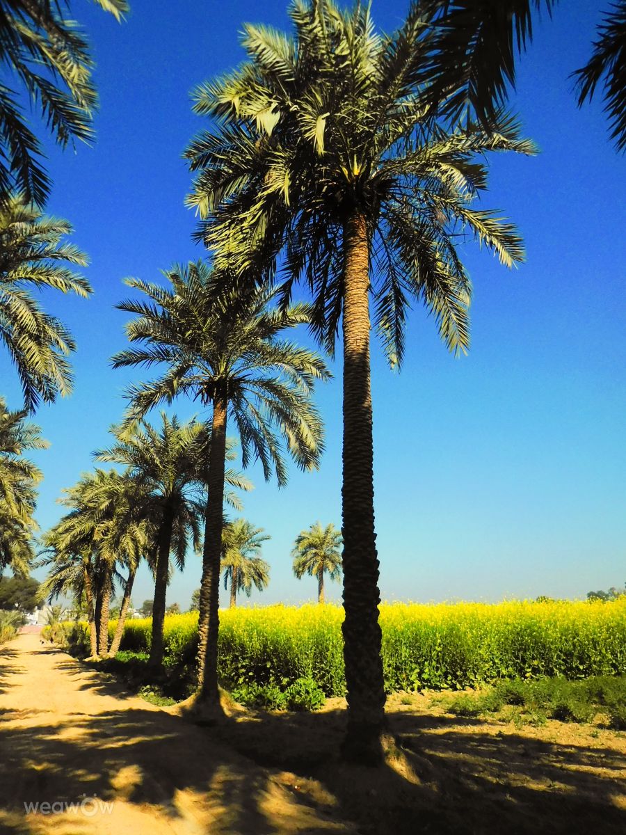 Weather Photos in Pakistan. Weather forecasts with beautiful photos by Yousuf