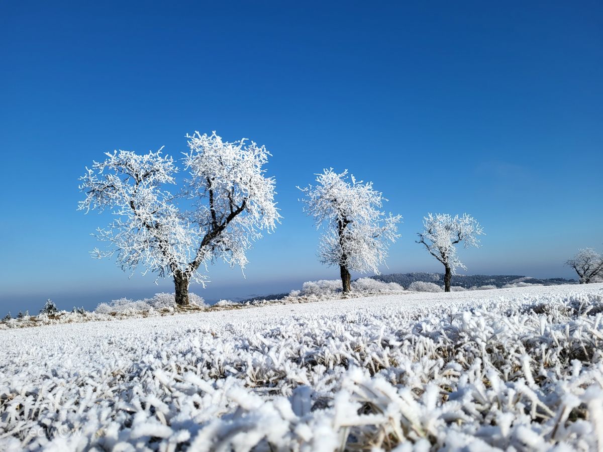 hejpetrpepaの美しい写真による天気予報