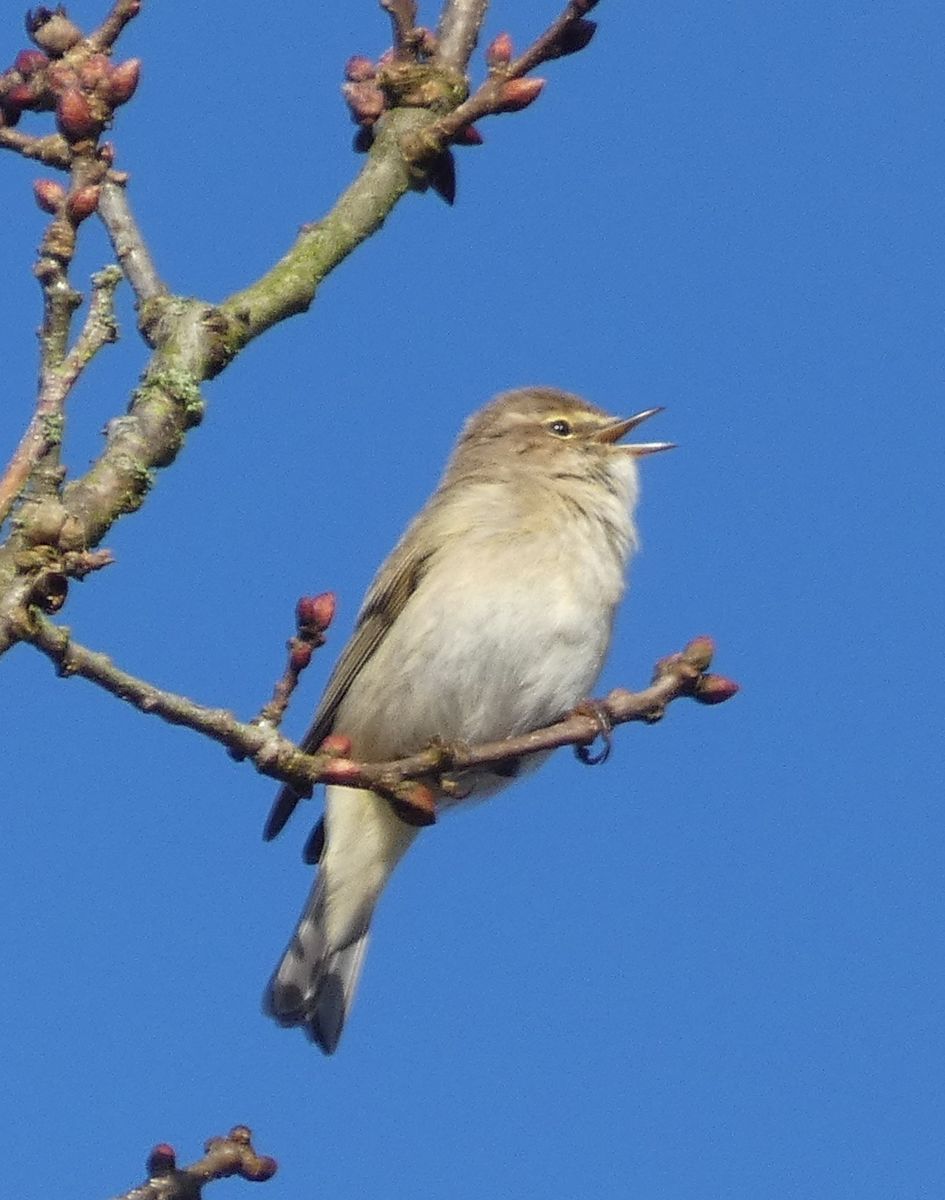 Фотографии Погоды в Ahlhorner Fischteiche. Прогнозы погоды с чудесными фотографиями, сделанными fwerner