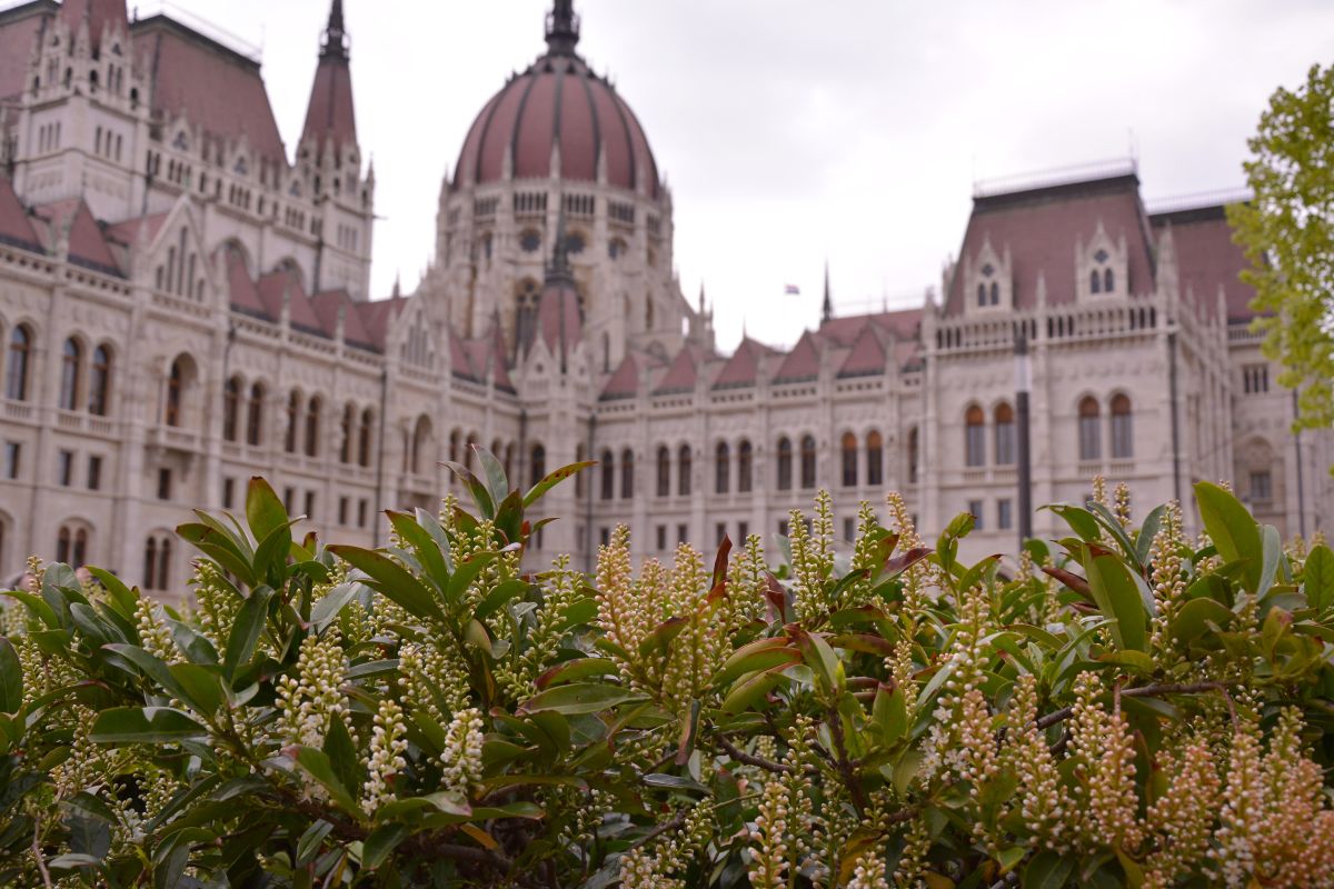 Photograph kriotis, Wetter Photos Budapest - Weawow