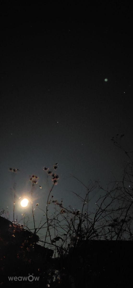 Photographer umemui, Weather Photos in Honshu - Weawow