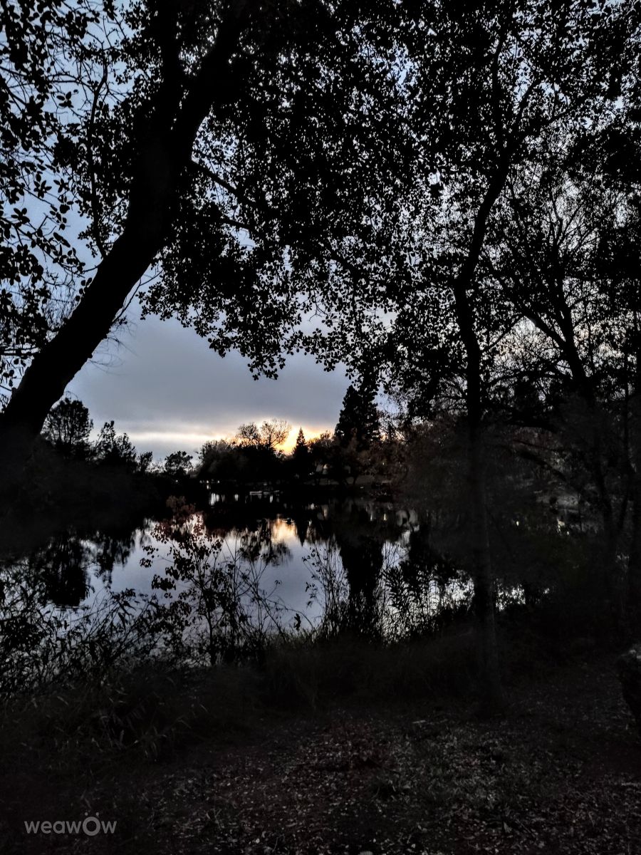 奇科的天气照片. 天气预报，带Ghostroku精美的照片