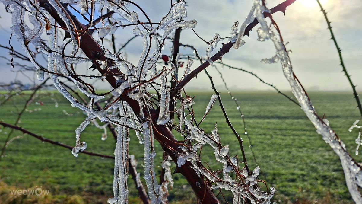 Dự báo thời tiết với những bức ảnh đẹp của steve2025s