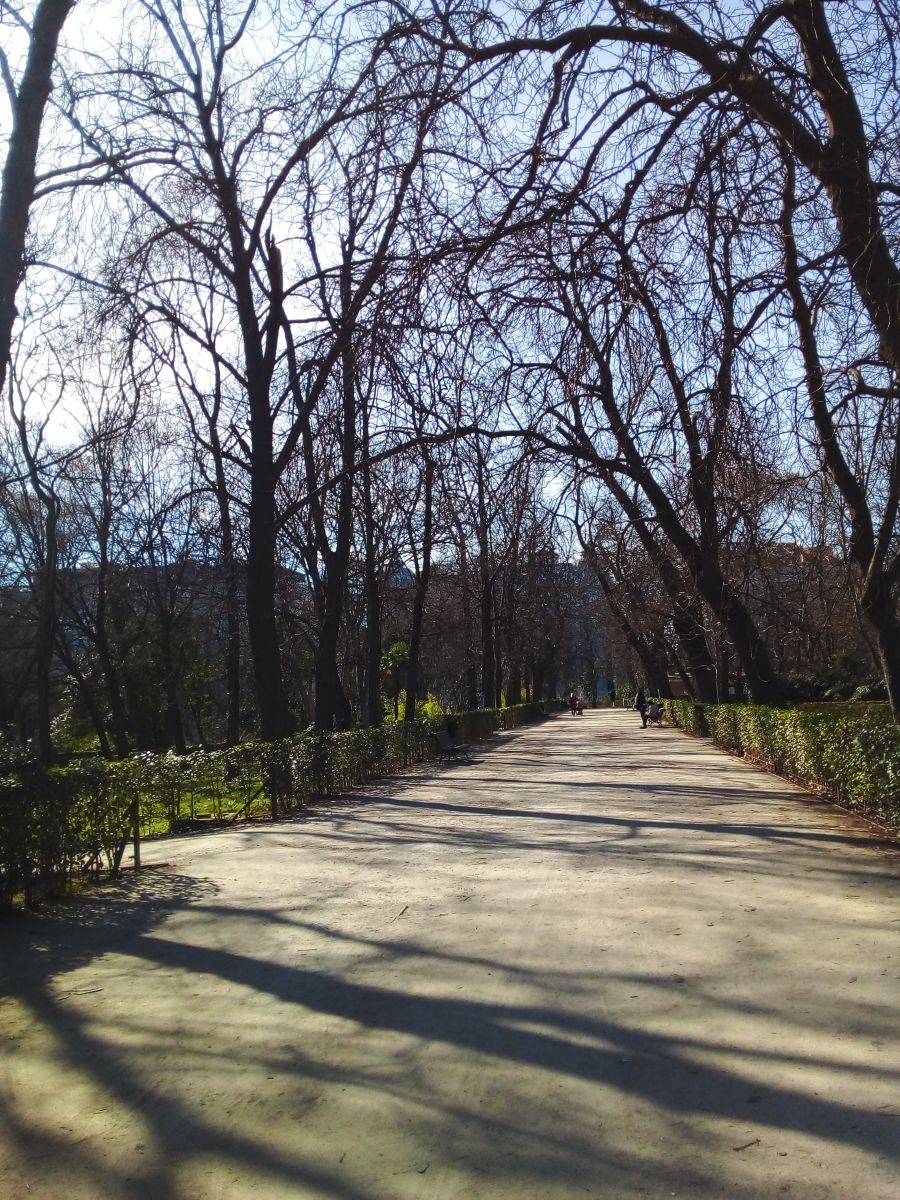 Photographer Anagaliciag, Weather Photos in Madrid - Weawow