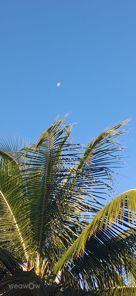 Fotos sobre el clima en Río de Janeiro. Pronósticos del tiempo con hermosas fotos de NatalieMiranda