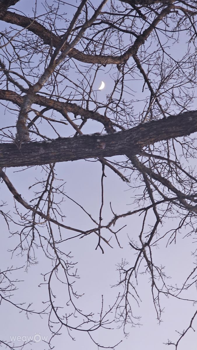 Fotos do tempo em Ogre. Previsões do tempo com lindas fotos de Sandra Bokisha