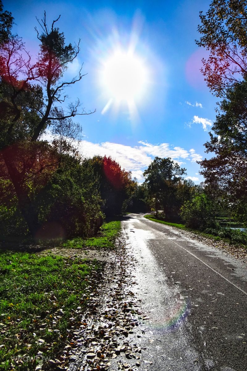 Prévisions météo avec de superbes photos de VersusPoint