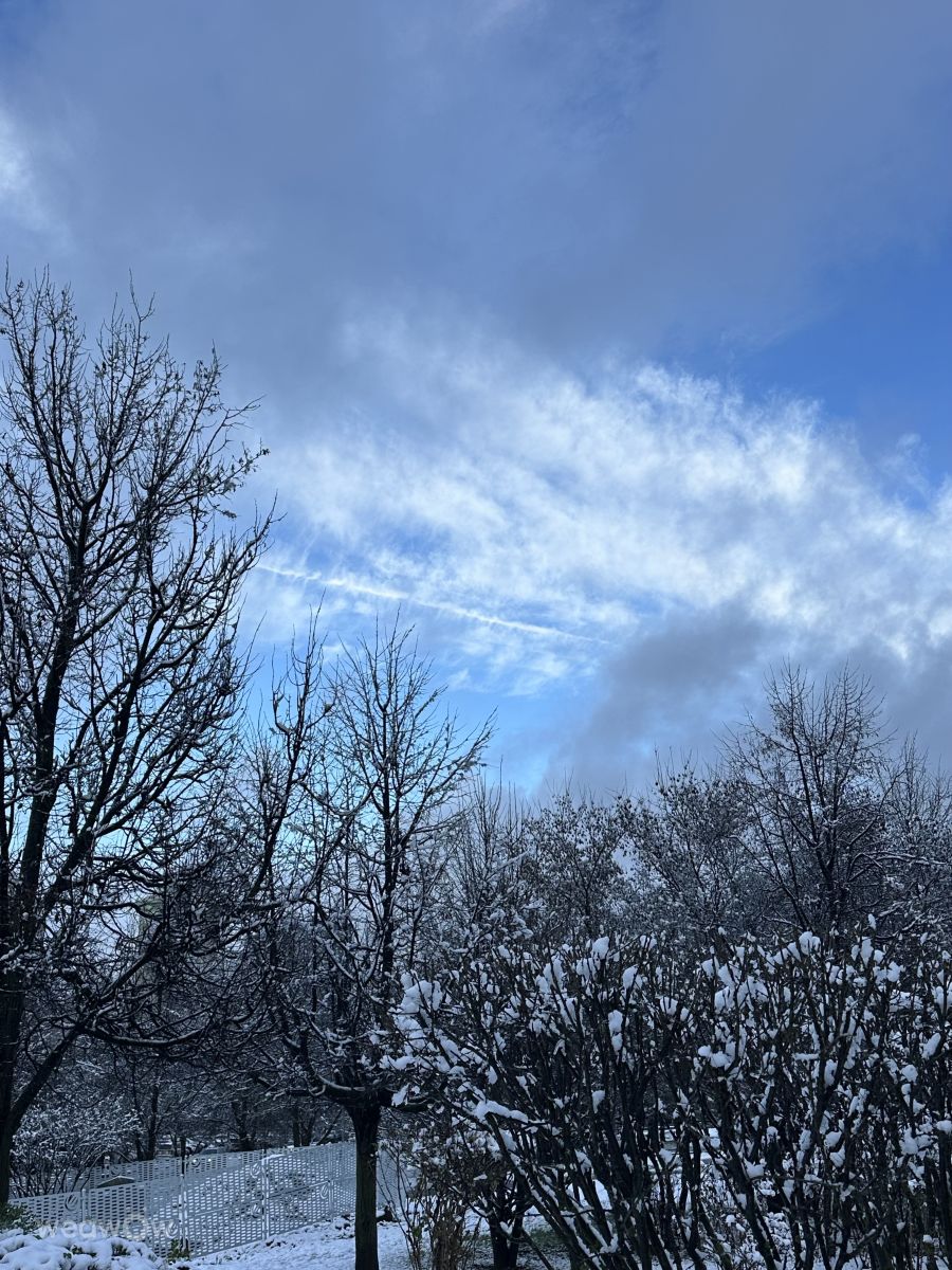ロシアの天気写真. Rithaの美しい写真による天気予報
