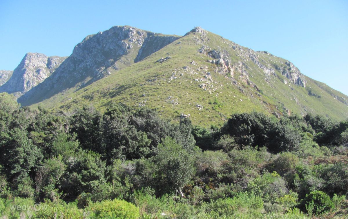 Betty s bay south africa 14 days weather forecast radar photos weawow