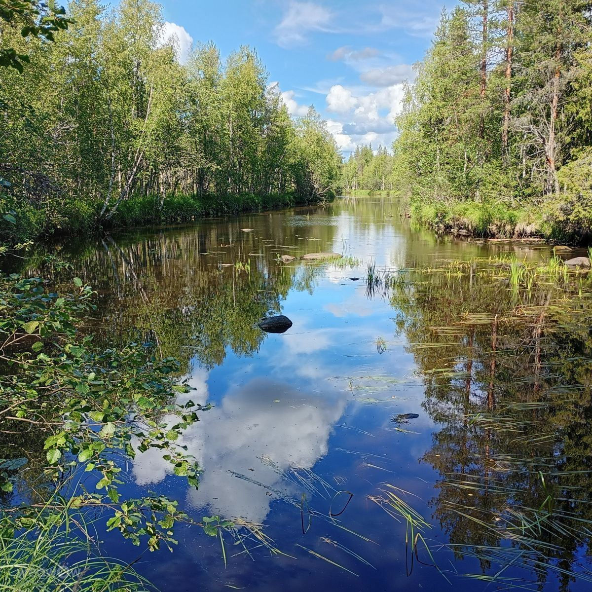 Fotos sobre el clima en Finlandia. Pronósticos del tiempo con hermosas fotos de Juki