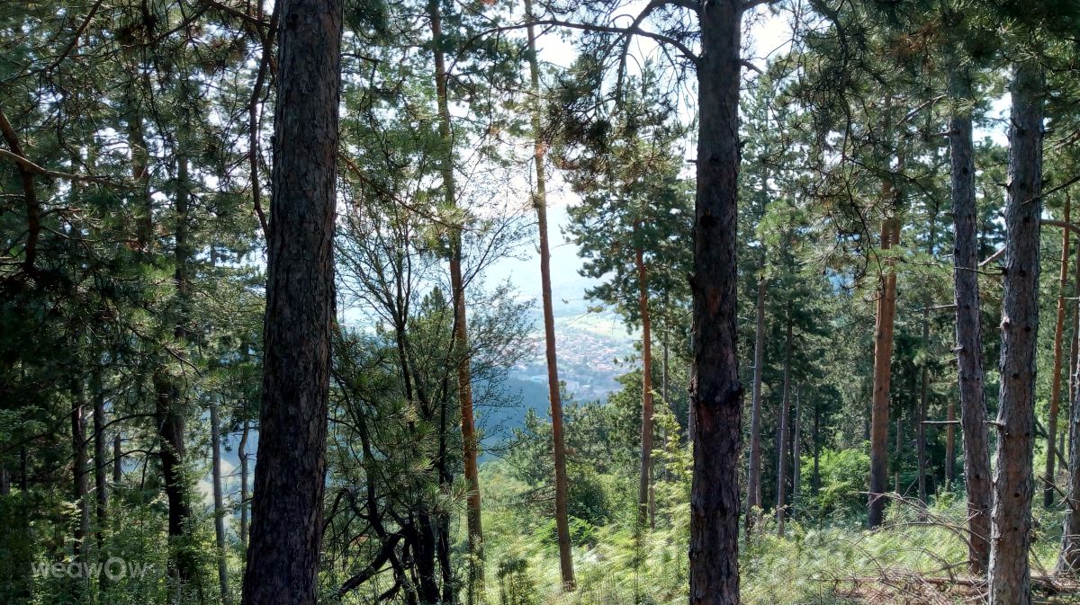 Фотографии Погоды в Чипровци. Прогнозы погоды с чудесными фотографиями, сделанными Pardina