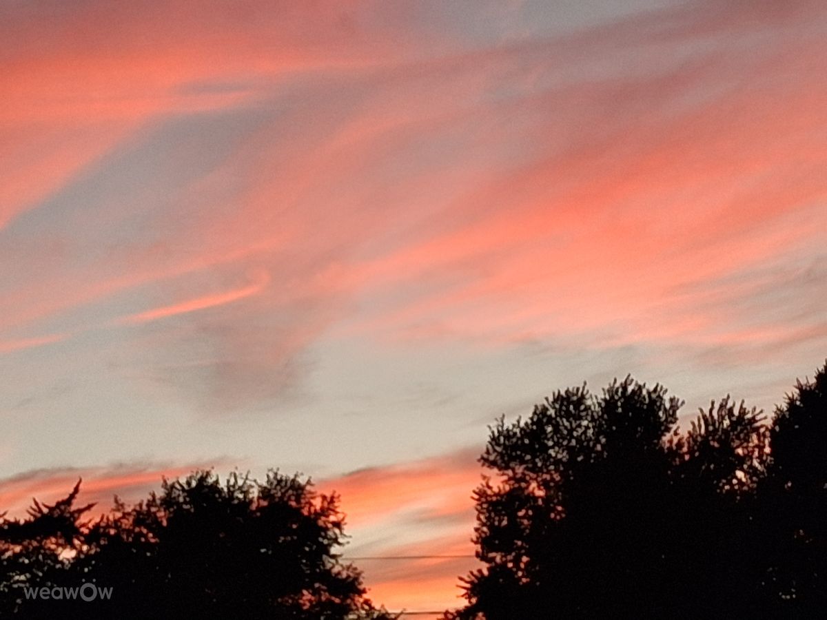 密蘇里州的天气照片. 天气预报，带Sheena Woody精美的照片