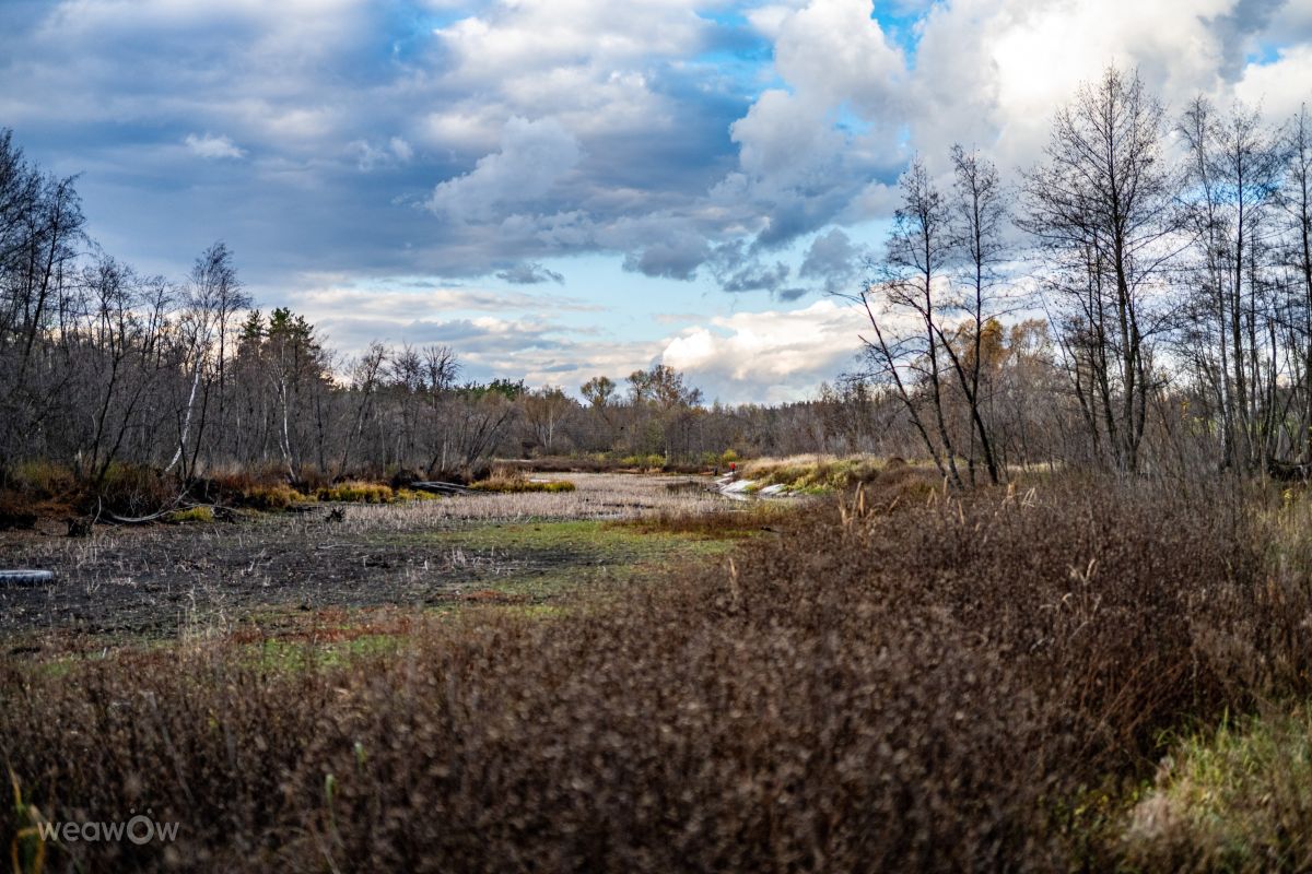 Photographer GrgaP, Weather Photos in Maklok - Weawow