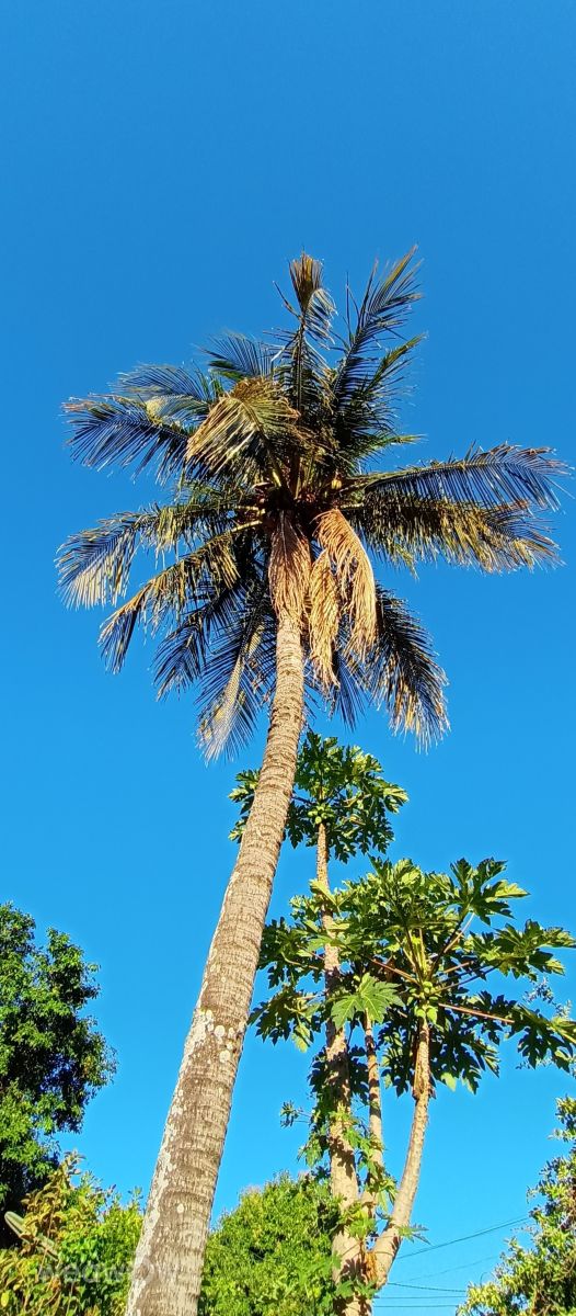 Weather Photos in Paraguay. Weather forecasts with beautiful photos by Mariobros