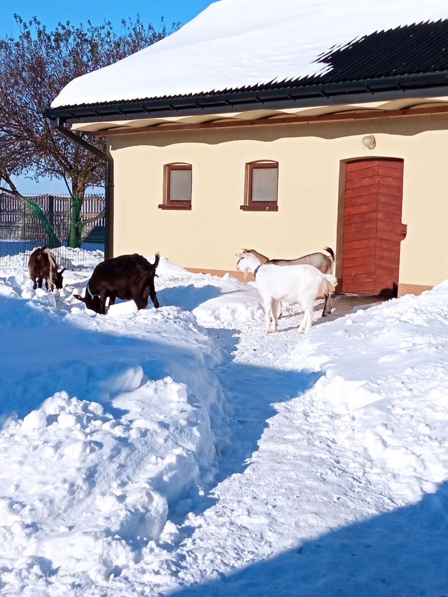 Photograph AnitaTrusińska, Wetter Photos Charbinowice - Weawow