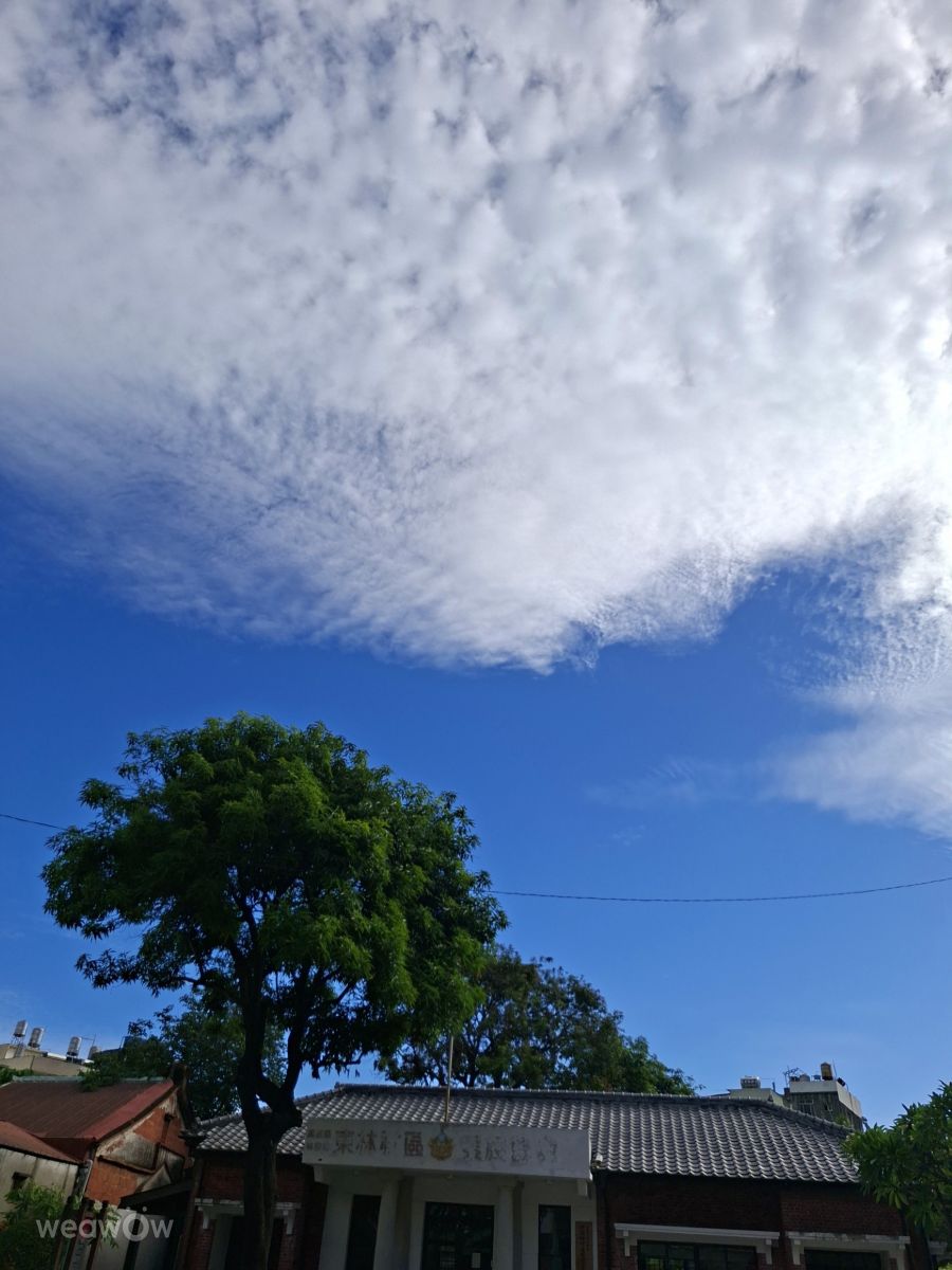 Photographer Wen-ya Huang, Weather Photos in Kaohsiung City - Weawow