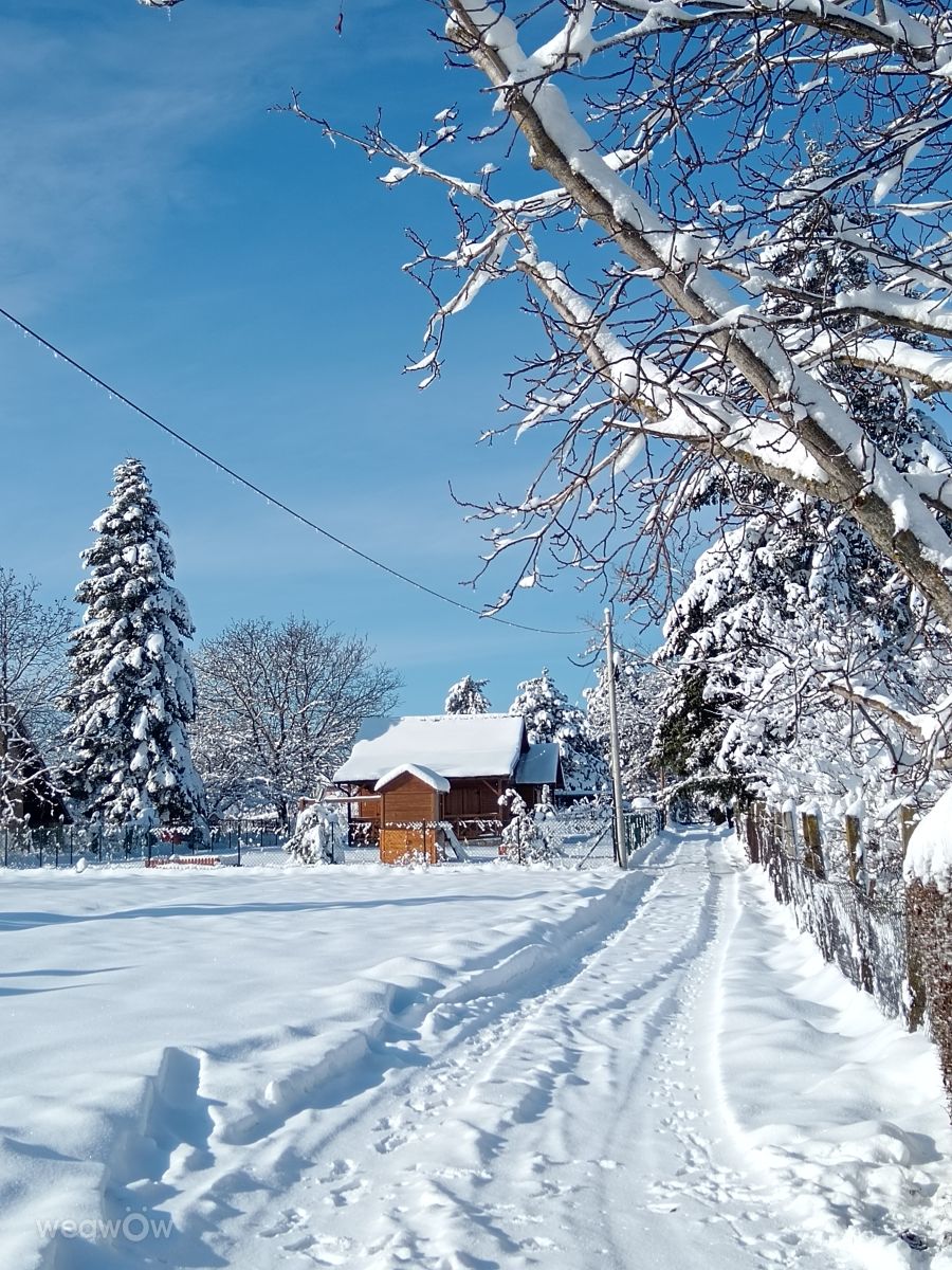 Weather forecasts with beautiful photos by Branislava Knezevic