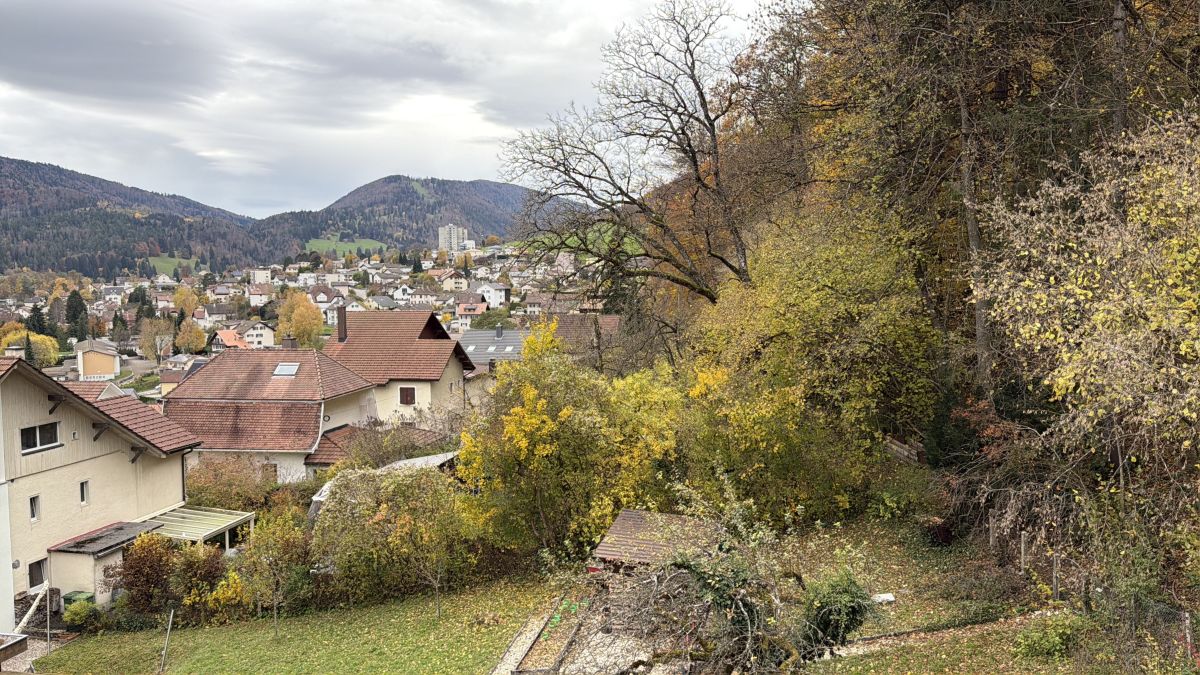 Photographe SwissEloi, Photos météo à Delémont - Weawow