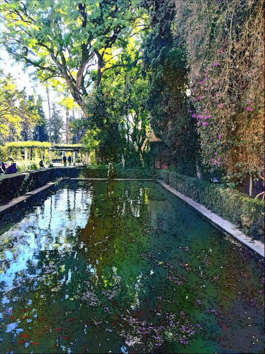 Photographer MarcosCidDaly, Weather Photos in Alcázar de Sevilla - Weawow