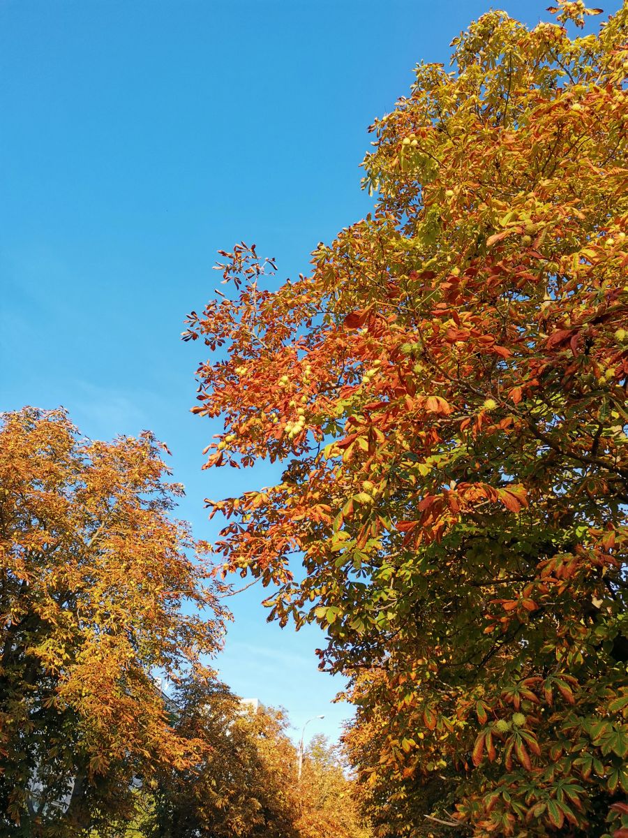 Photos météo à Kherson. Prévisions météo avec de superbes photos de AleksejLobanov