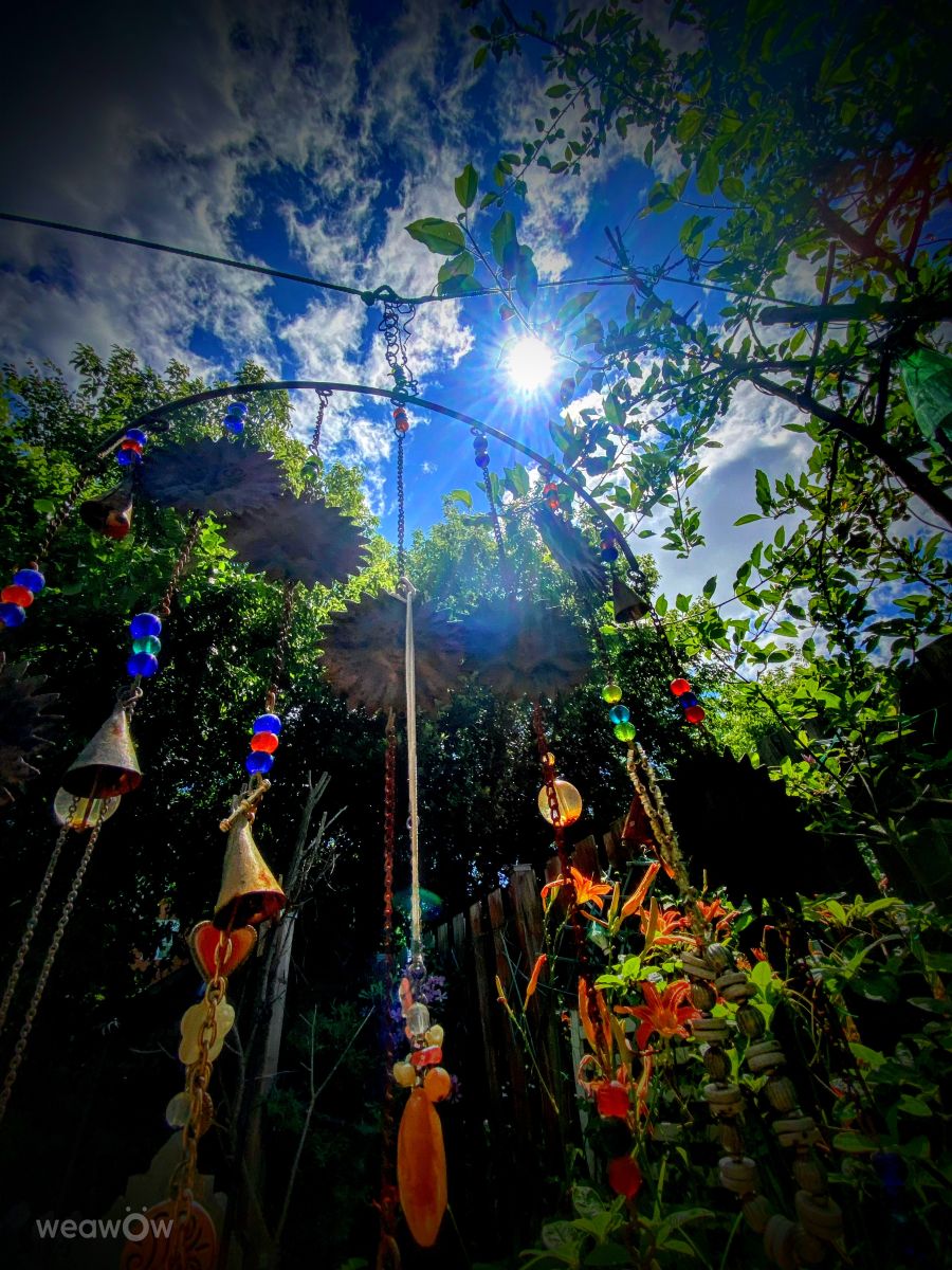 Weather forecasts with beautiful photos by Lulu5523