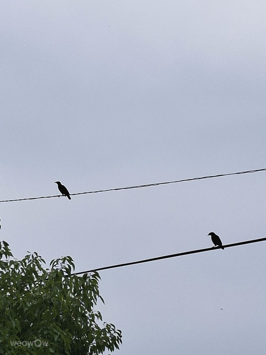 Photographer Wen-ya Huang, Weather Photos in Kaohsiung City - Weawow