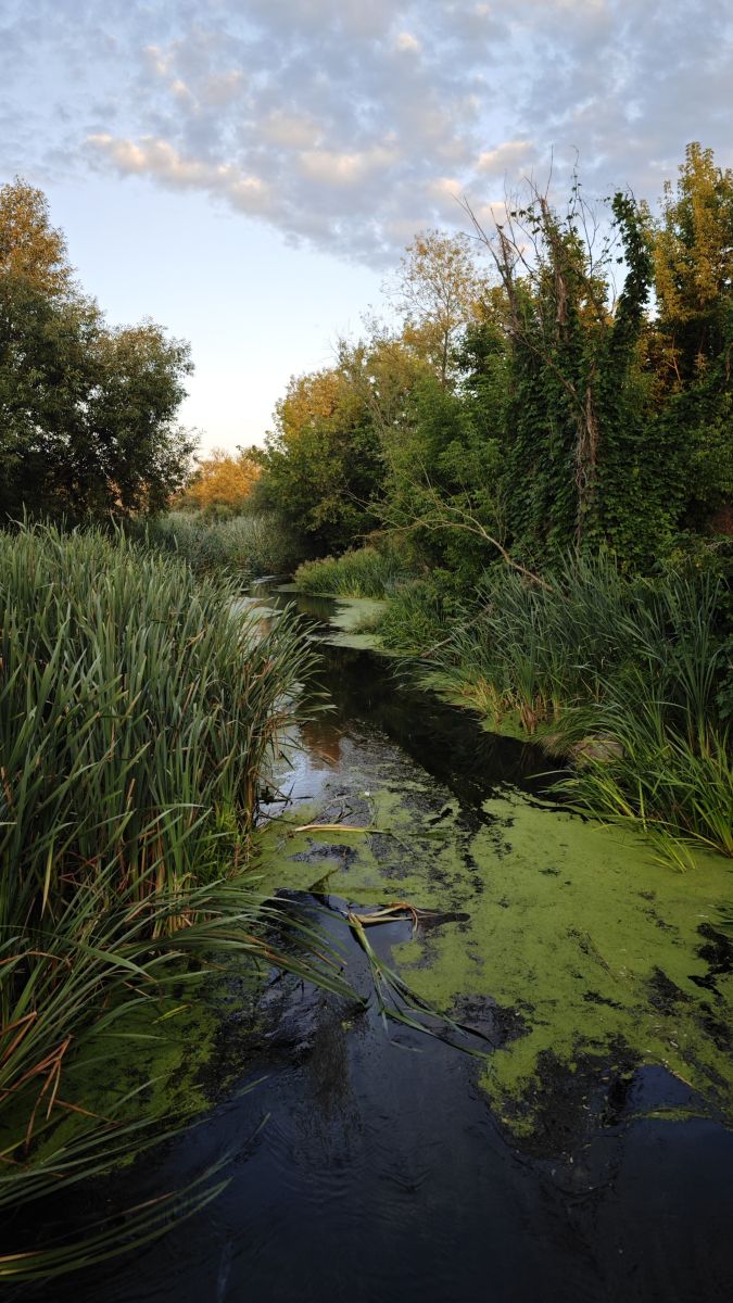 Wetter Photos Kropywnyzkyj. Wettervorhersagen mit schönen Fotos von Synieok