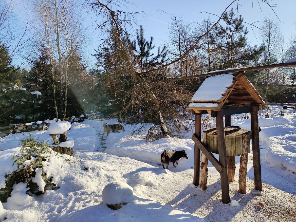 Wetter Photos Woiwodschaft Podlachien. Wettervorhersagen mit schönen Fotos von JacMon