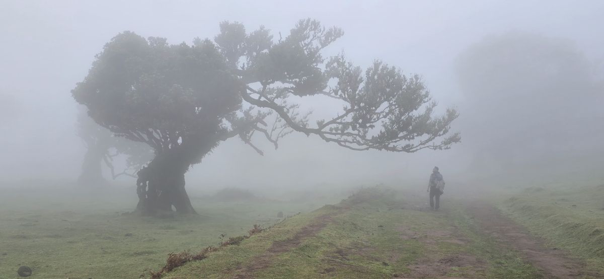 Weather forecasts with beautiful photos by Kubin
