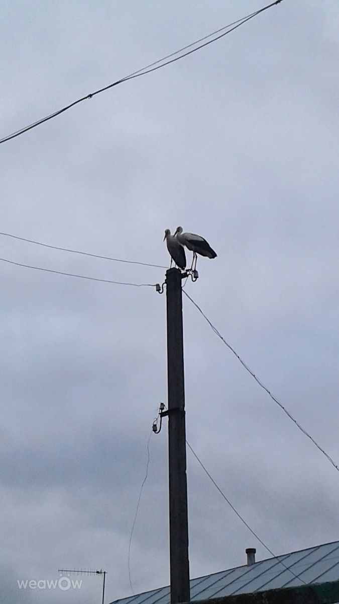 Photographer urashm, Weather Photos in Khmelnytskyi - Weawow