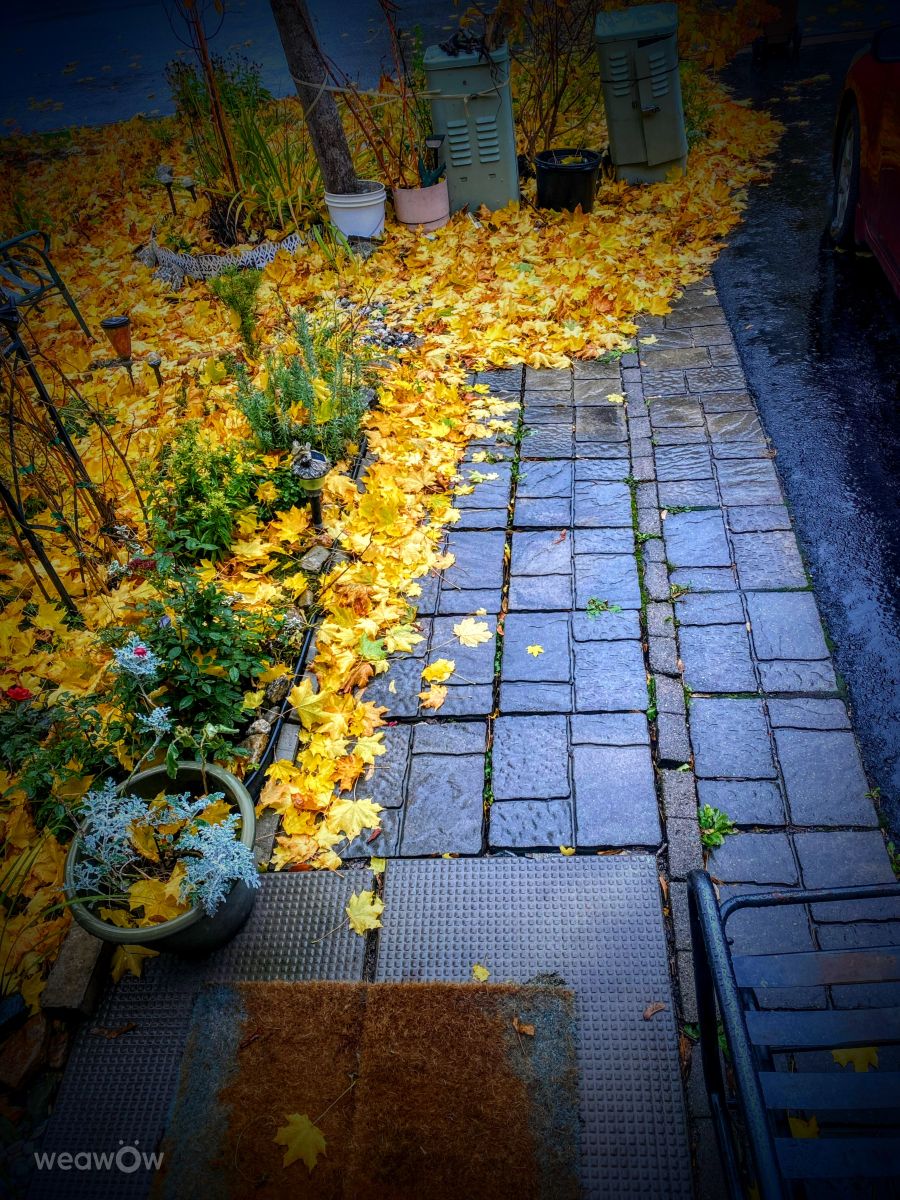 Фотограф Lulu5523, Фотографии Погоды в le Plateau - Weawow