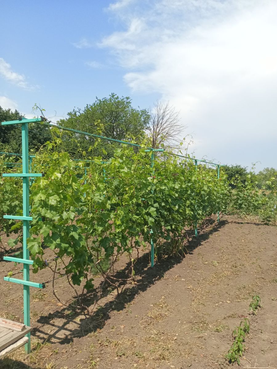 Weather Photos in Krasnodar Krai. Weather forecasts with beautiful photos by Aldabair