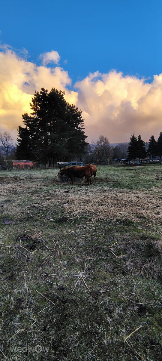 Pronósticos del tiempo con hermosas fotos de Bruno Bianchi Herrera