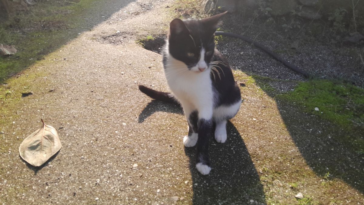 Hình ảnh Thời tiết ở I-ran. Dự báo thời tiết với những bức ảnh đẹp của Soheilpmi